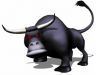 CBFD_Bull