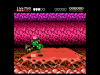 battletoads23