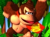 dk64palms