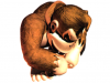 DonkeyKong_Curl