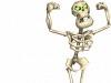 skeletonstand