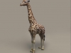 Giraffe2.jpg