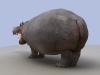 Hippo2.jpg