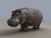 Hippo4.jpg