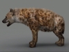 Hyena1.jpg