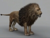 Lion1.jpg