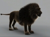 Lion3.jpg