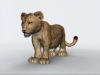 Lioncub1.jpg